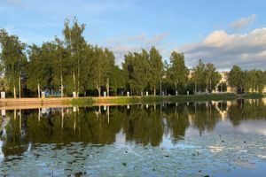 ВЛуки.ру
