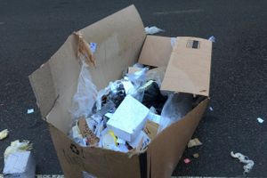 Неопознанный валяющийся объект «украсил» дорогу в Великих Луках.