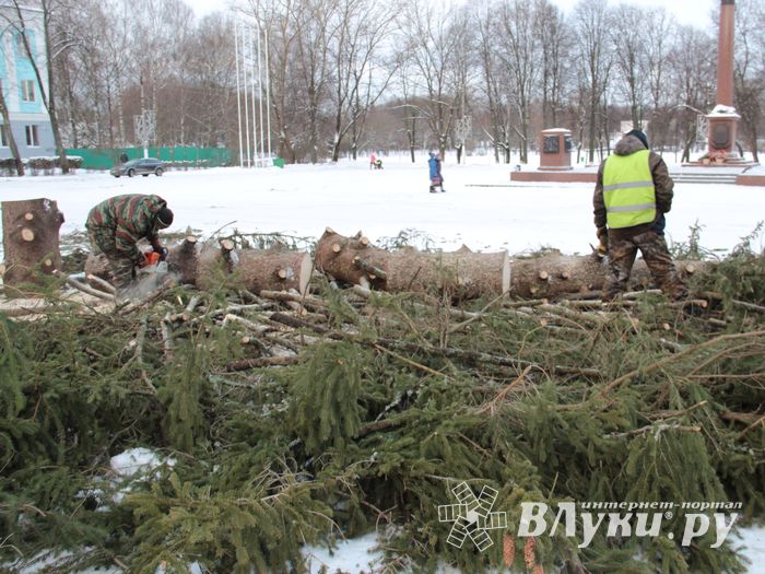 Главная городская ёлка отправилась на свалку (ФОТО)