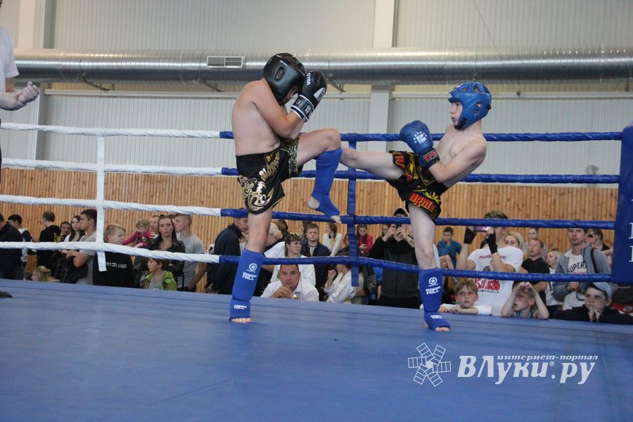 1-й Фестиваль боевых искусств состоялся в Великих Луках  (ФОТО)