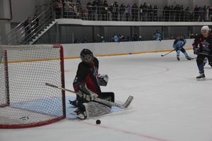 «Экспресс» обыграл псковскую «Сталь» (ФОТО)