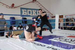 В Великих Луках прошел Чемпионат области по смешанному боевому единоборству (фото)