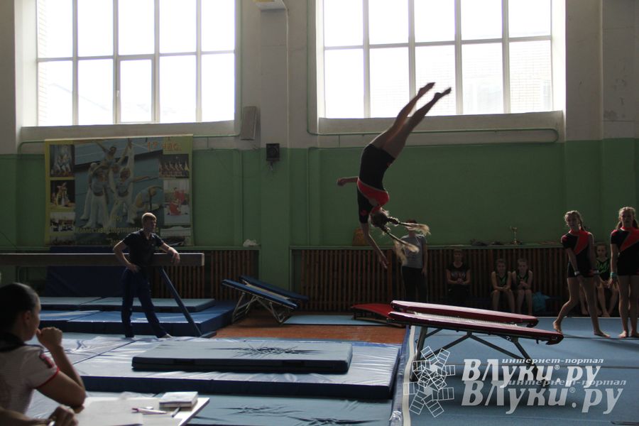 В Великих Луках состоялось Первенство по командной гимнастике (фото)