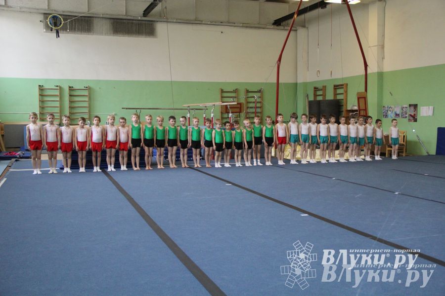 В Великих Луках состоялось Первенство по командной гимнастике (фото)