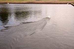 Великолукская регата - не все суда спустили на воду (ФОТО)