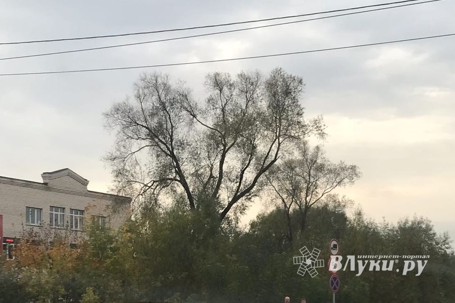 На проспекте Ленина произошло ДТП (ФОТО)