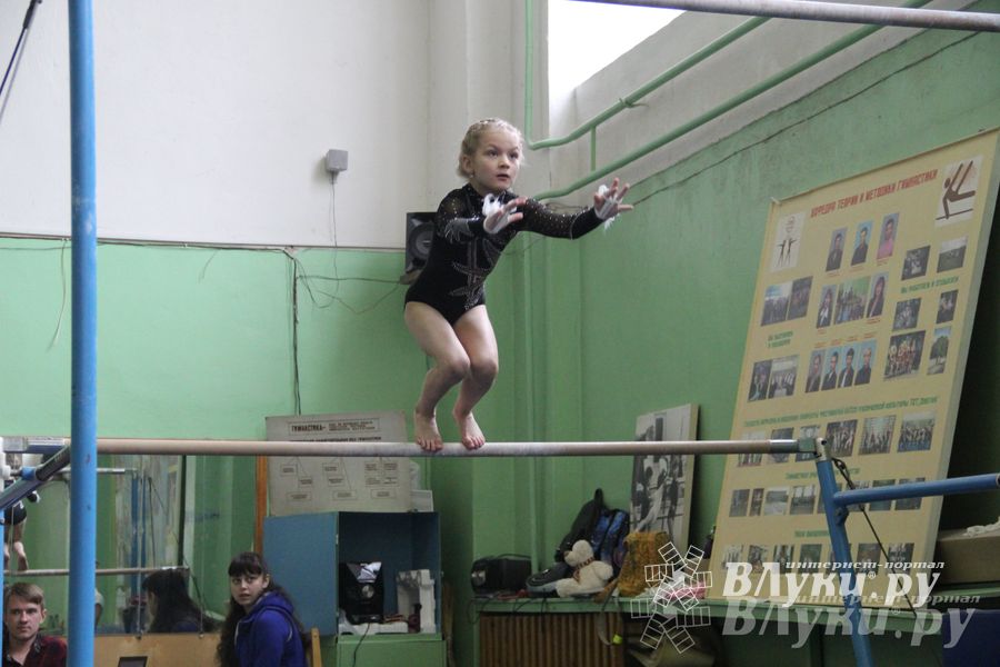 В Великих Луках прошел турнир по спортивной гимнастике (фото)