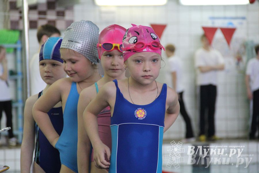 В Великих Луках прошли соревнования по плаванию «Весёлый дельфин»