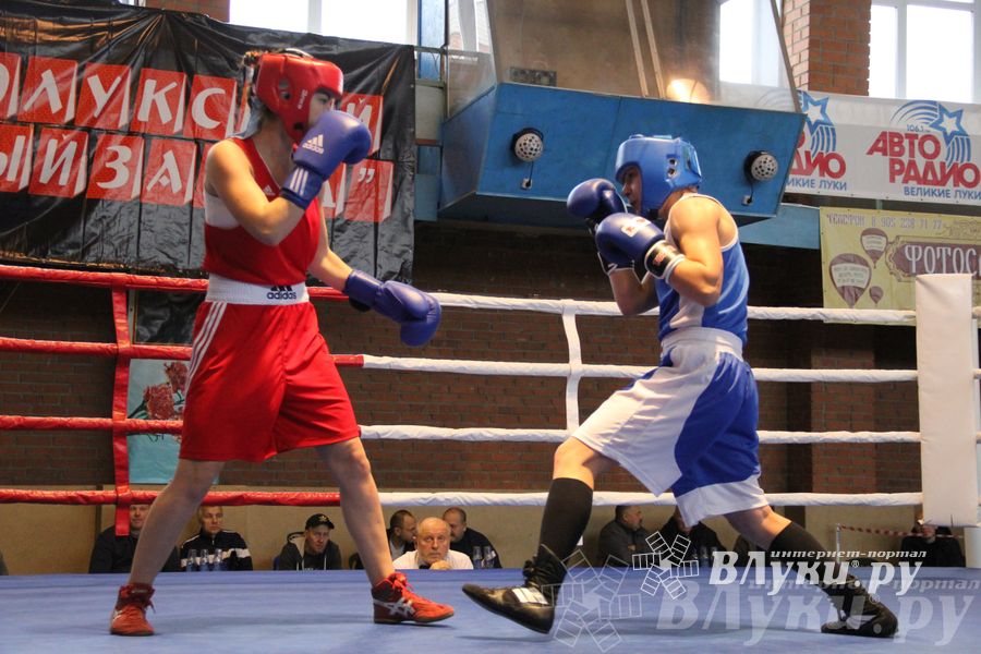 16-й Международный турнир по боксу (фото)