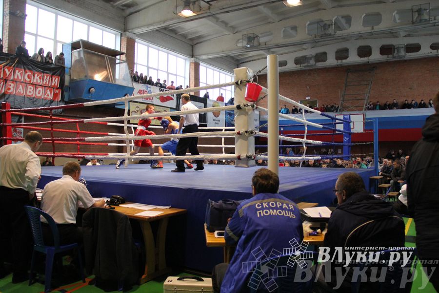 16-й Международный турнир по боксу (фото)