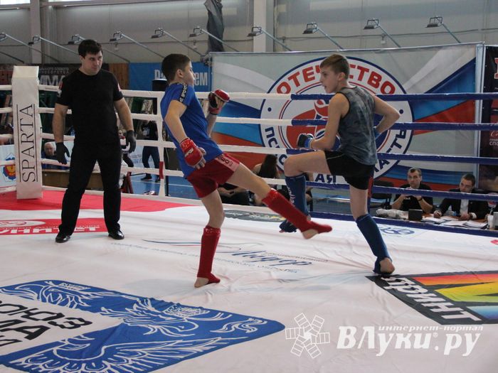 Открытый кубок по смешанному боевому единоборству ММА прошел в Великих Луках (ФОТО)