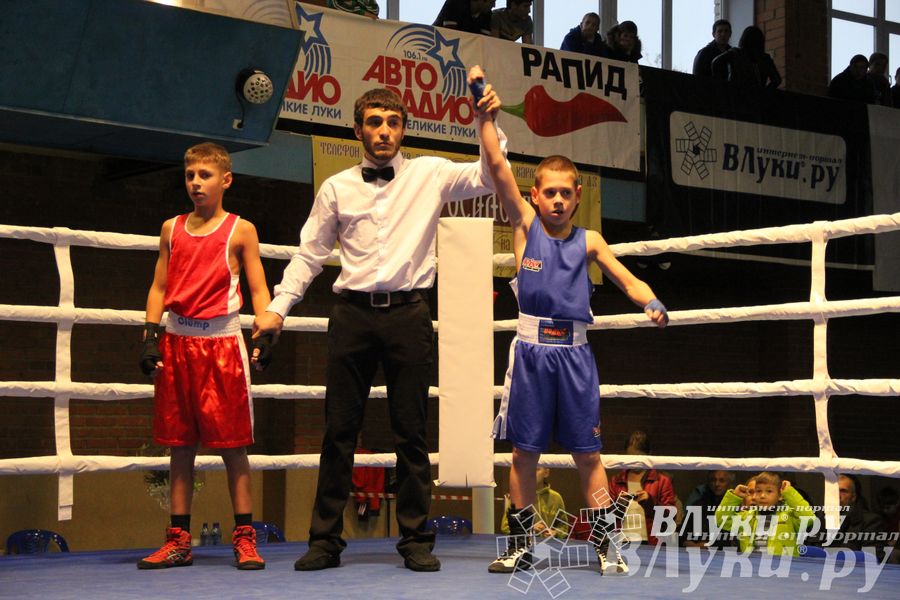 Открытие 16-го  Международного турнира по боксу