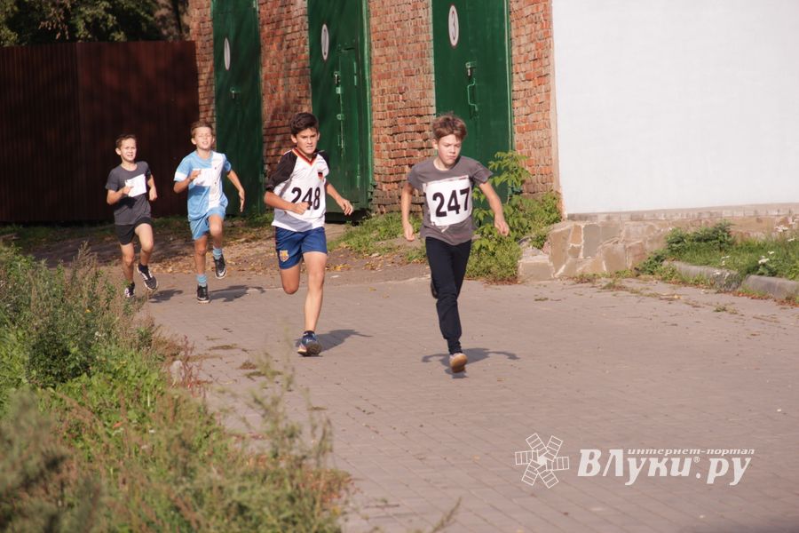 В Великих Луках состоялись соревнования «Шиповка юных» (фото)