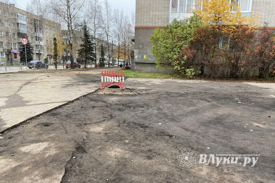 Пешеходам-великолучанам советуют не пользоваться смартфонами (ФОТО)