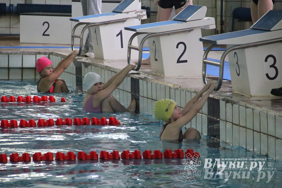 В Великих Луках прошли соревнования по плаванию «Весёлый дельфин»