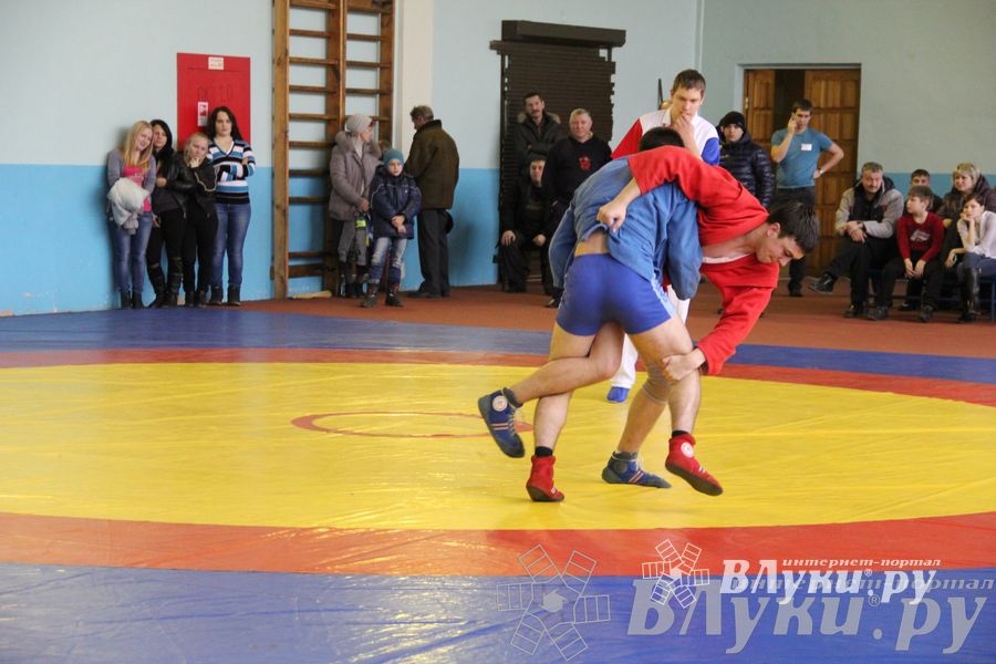 Всероссийский турнир по самбо