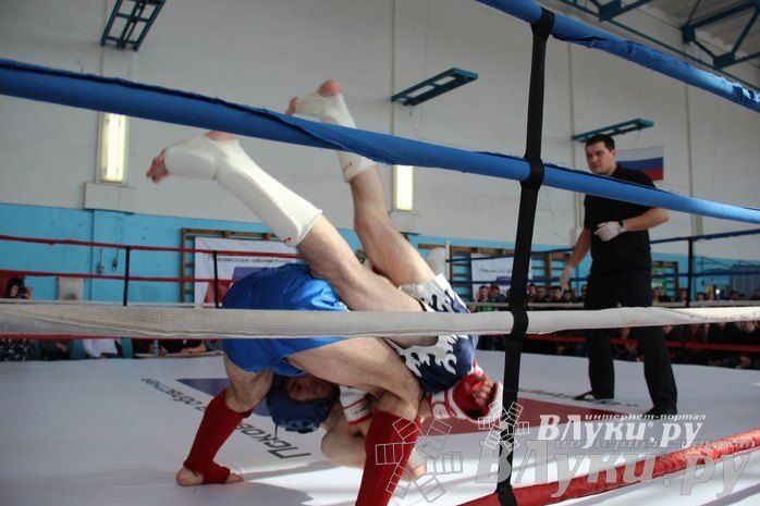 Чемпионат Псковской области по ММА