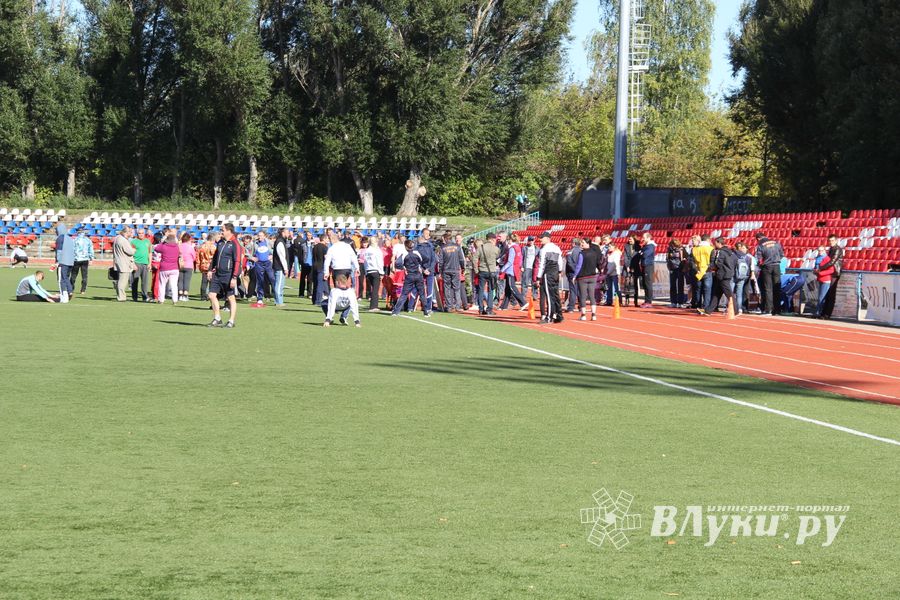 В Великих Луках прошел фестиваль ГТО