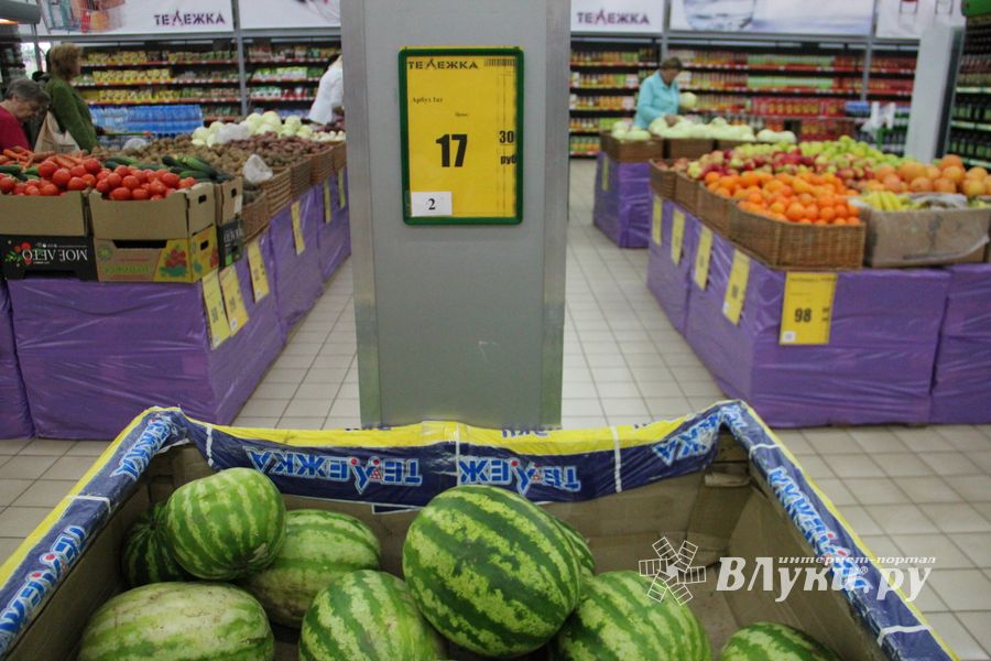 В Великих Луках проверили бахчевые (ФОТО)