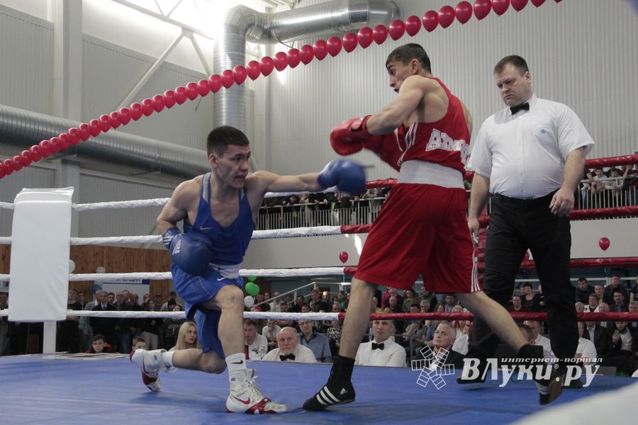 Матчевая встреча по боксу Великие Луки —Псков — Грозный (ФОТО)