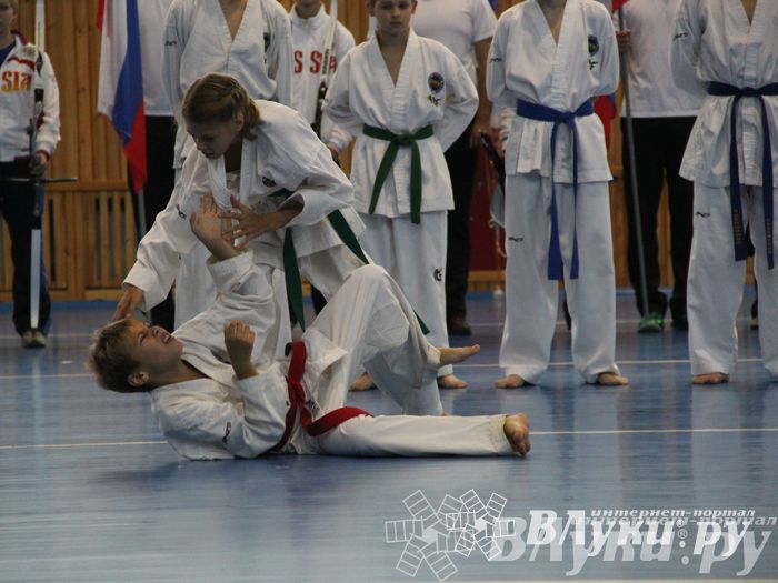 Открытие спортивно-оздоровительный комплекс «Стрелец» (фото)