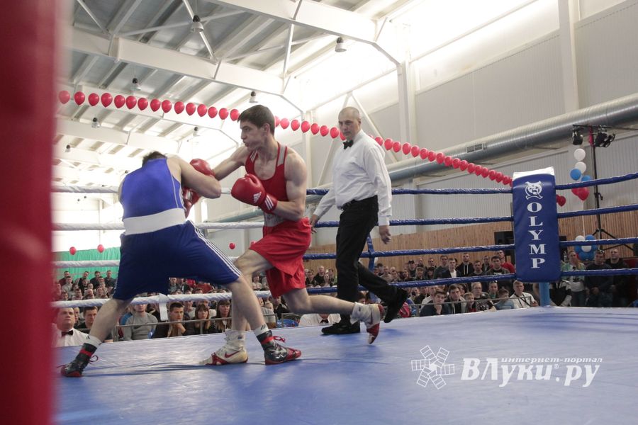 Матчевая встреча по боксу Великие Луки —Псков — Грозный (ФОТО)