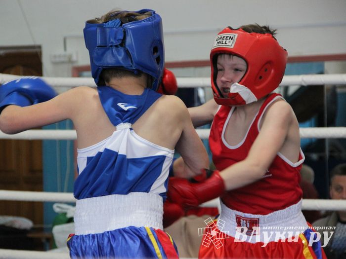 Юные великолучане выявили сильнейших боксёров (ФОТО)