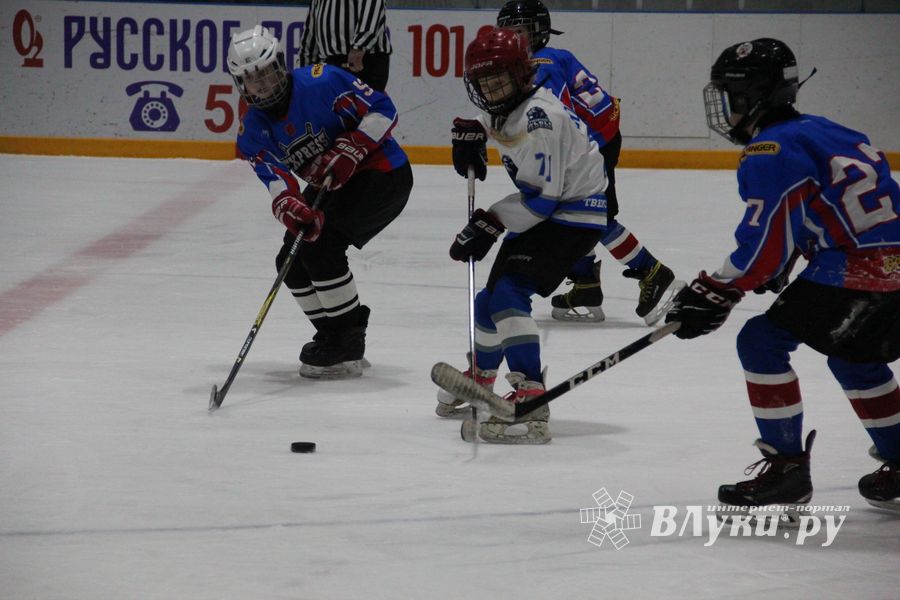 В Великих Луках прошел детский Открытый турнир по хоккею (ФОТО)
