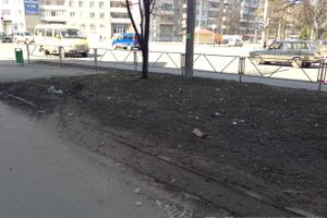 Весне дорогу!