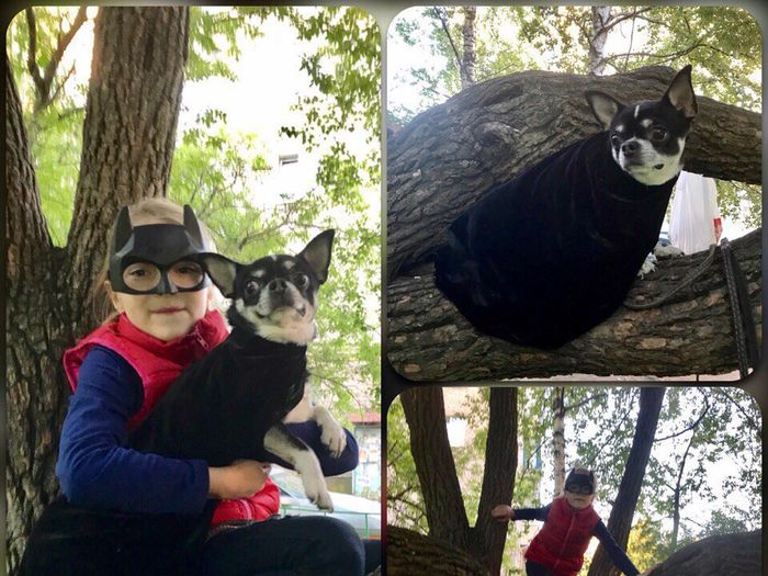 Объявляем победителей фотоконкурса «Косточка к Новому году» (ФОТО)