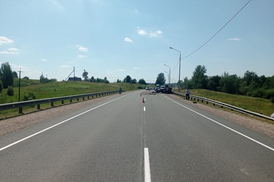 В ДТП в Куньинском районе погиб ребёнок (ФОТО)