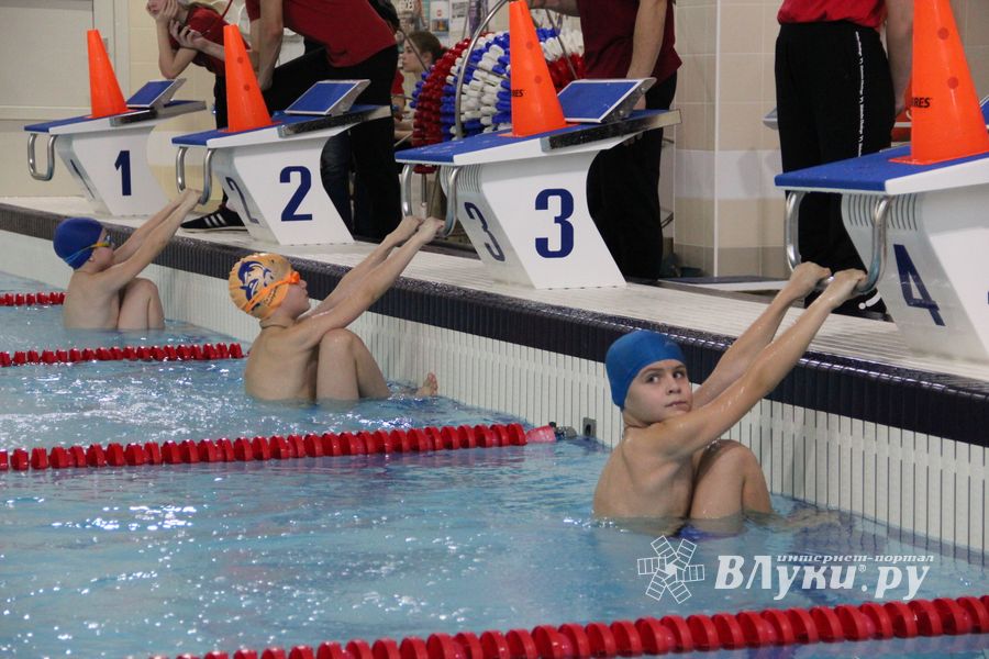 Соревнования по плаванию на призы Деда Мороза прошли в Великих Луках (ФОТО)