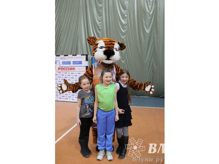 Чемпионат ШБЛ «КЭС-БАСКЕТ» сезона 2013-2014 гг. Псковской области