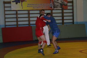 Состоялось открытие Всероссийского турнира по самбо среди мужчин, посвященного подвигу Александра Матросова 