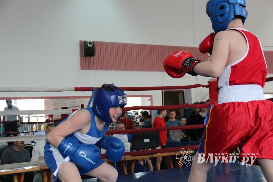 В Великих Луках прошло Первенство города по боксу (ФОТО)