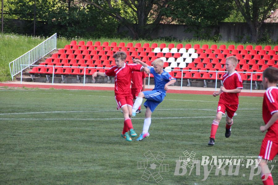 «Локобол-2013» в Великих Луках