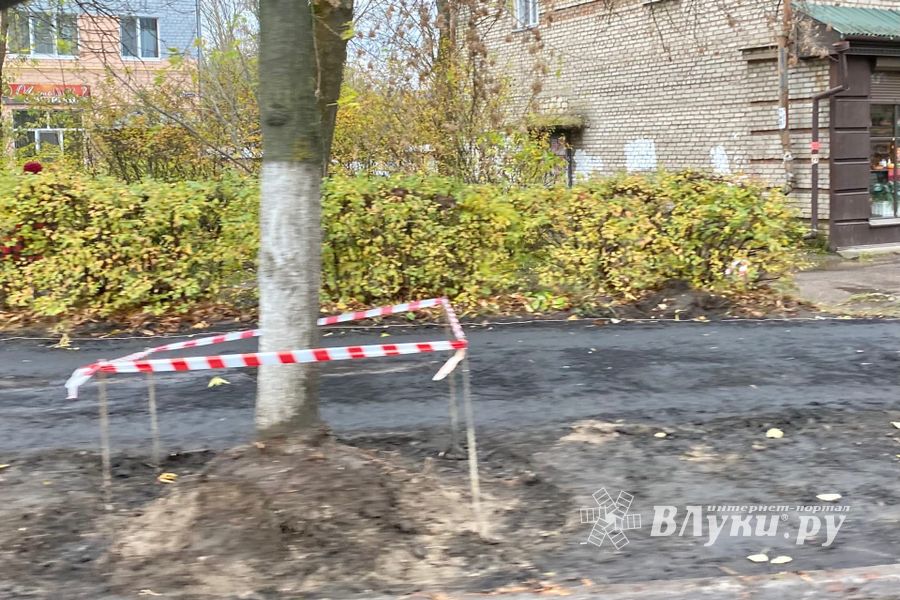В Великих Луках на улице Зверева обновляют тротуар (ФОТО)
