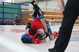 В Великих Луках проходит открытый кубок по смешанному боевому единоборству ММА (ФОТО) (12+)