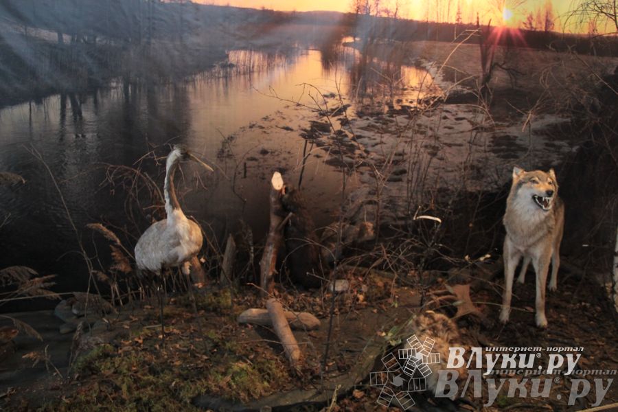Обзор выставок Краеведческого музея