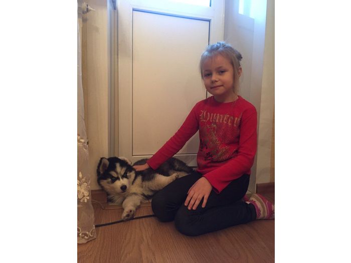 Объявляем победителей фотоконкурса «Косточка к Новому году» (ФОТО)