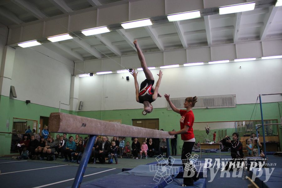 В Великих Луках прошло Первенство Области по спортивной гимнастики (фото)
