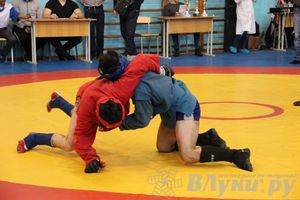 Первенство Псковской области по самбо
