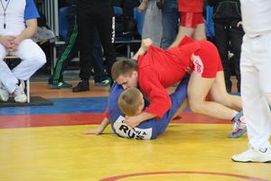 Самбисты поборолись на крупном турнире в Великих Луках (ФОТО)