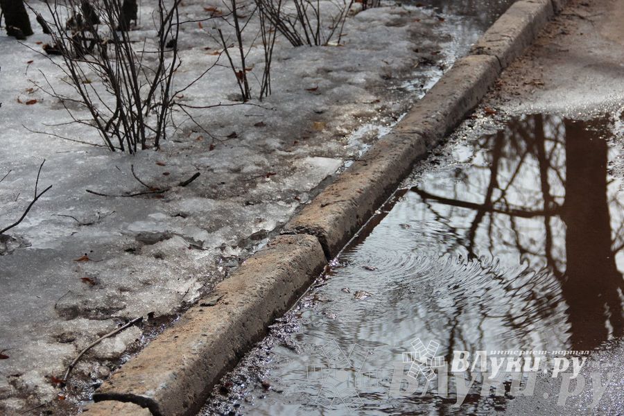 Весенний день