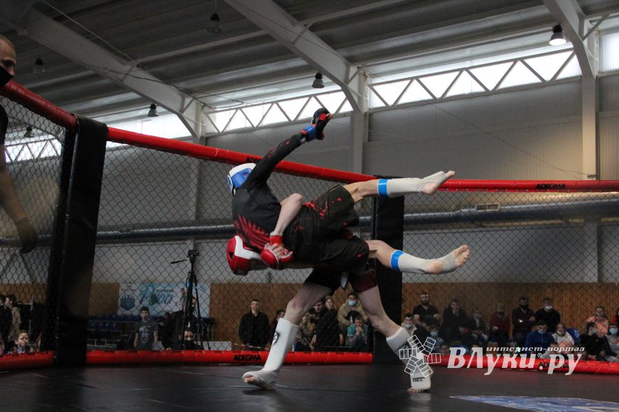 В Великих Луках прошел кубок по смешанному боевому единоборству (ФОТО)