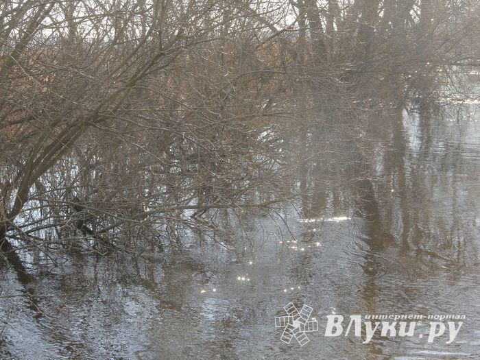 В Великих Луках продолжаются поиски мужчины, пропавшего 9 марта (ФОТО)