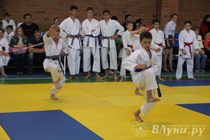 Великолучане стали победителями турнира по каратэ «Неприкосновенный запас, дети — Отчизны 2015» (фото)