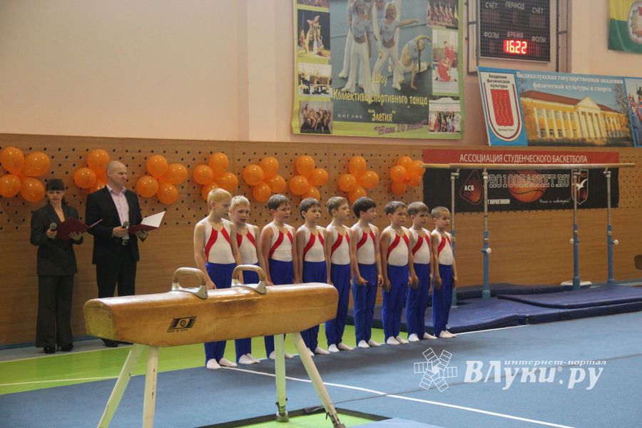 Парад гимнастики