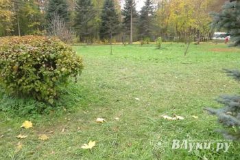 Ну, за что вас, собачники, любить... (фото)