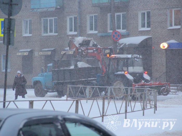 Великие Луки заносит снегом (фото)